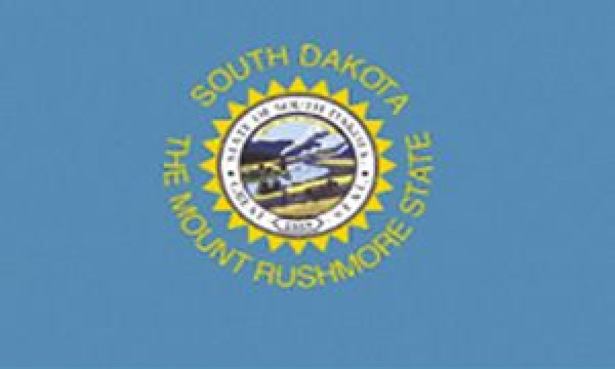 Fahne - South Dakota